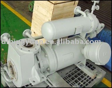 Canned Motor Pump High Temperature (CNK)