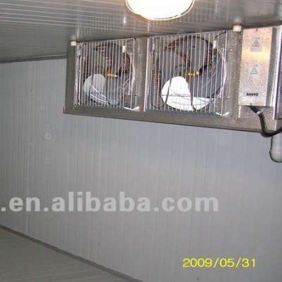 cold warehouse/cold room/cold storage container for meat or vegetables